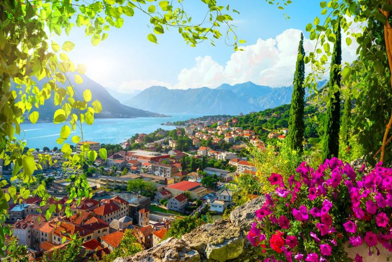 Montenegro pdp