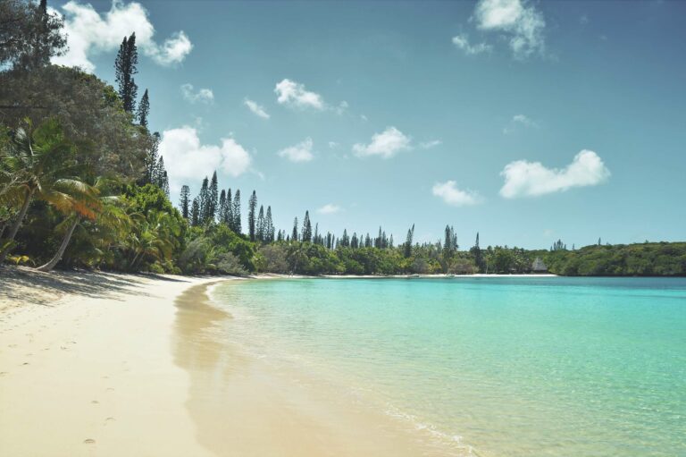 1672845952274 original