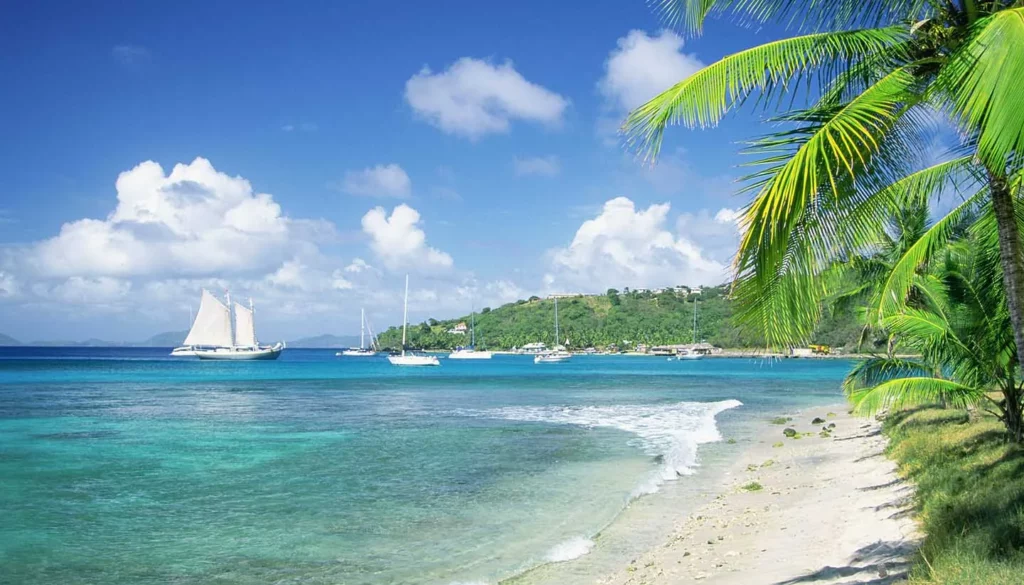 grenadines plage cocotiers goelette